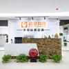 执业药师启圣老师