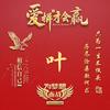 🇨🇳  叶随音动