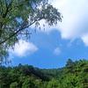 12山清水秀12