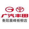广汽丰田衡阳杨柳店