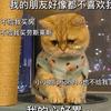 图图来唠车