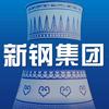 新余钢铁集团有限公司