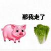 自由宇宙👍
