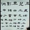大唐小唐爱书法
