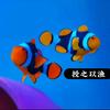 授之以渔/设备耗材/海缸定制