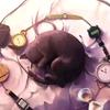 橱窗里的猫