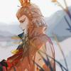 透明
