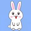 兔儿冷知识