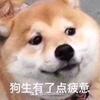 原野牧歌-混剪