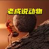 老成说动物