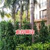 难得糊涂-