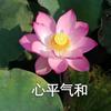 兰花飘香