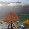 太平湖茶香丽景民宿
