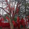 佳期