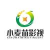 小麦苗影视