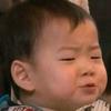 孙豆逗