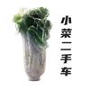 小菜二手车