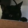 猫奶冰浆