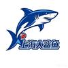 上海大鲨鱼