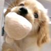 吃饭的时候不饿