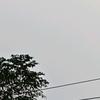哆哆泪咪哆