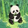 熊猫带你看世界