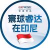 寰球睿达在印尼