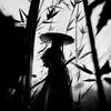 名崽/37.6流派（猴子教学的顶点）