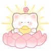 医招上岸_医聘猫