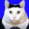 AAA电子批发猫总