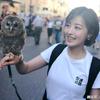 陕西彬州市平凡的世界