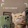 猪咪