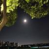 乐平龙仔