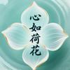 心如荷花