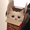 咕德猫宁电台🐾