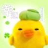 小鸡咕咕飞