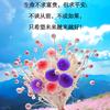 云淡风轻💖