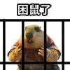 我滴丢啊