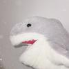 鲨沙