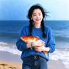 锦鲤pos服务