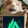 猛鼠俱乐部