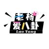 老杨爱八卦