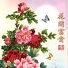 花开富贵