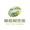 橄榄树营地官方号