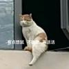 赣州比亚迪小Y