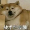 高小胖（洛克十六声）