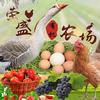 山东荣盛有机农场