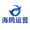 海鸥运营