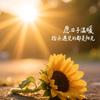 薅羊毛