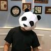 子乔情感